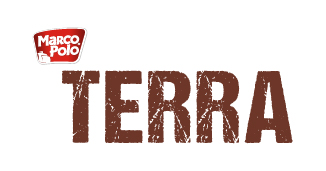 Logo Terra